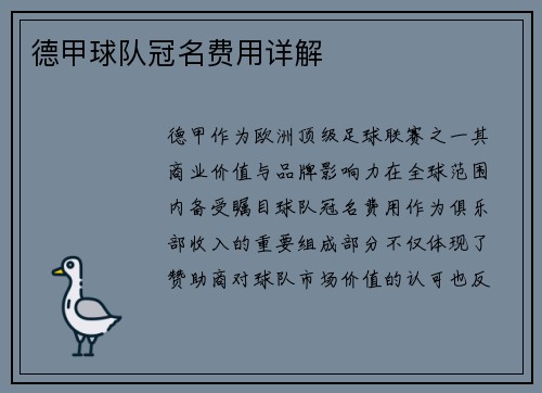 德甲球队冠名费用详解